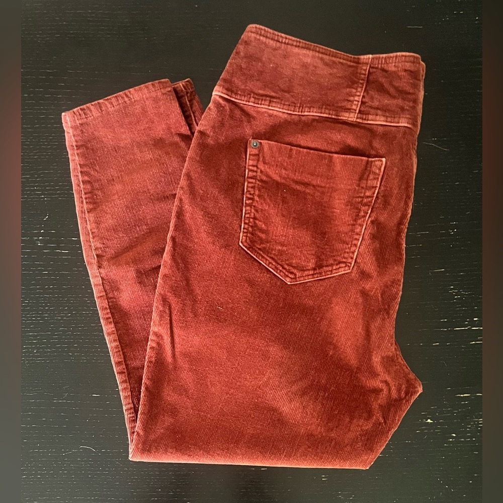 NOBO High Rise Sculpting Skinny Pants in Rust Orange